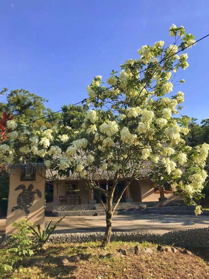 Urbanos Jungle Hostel Santa Catalina Εξωτερικό φωτογραφία