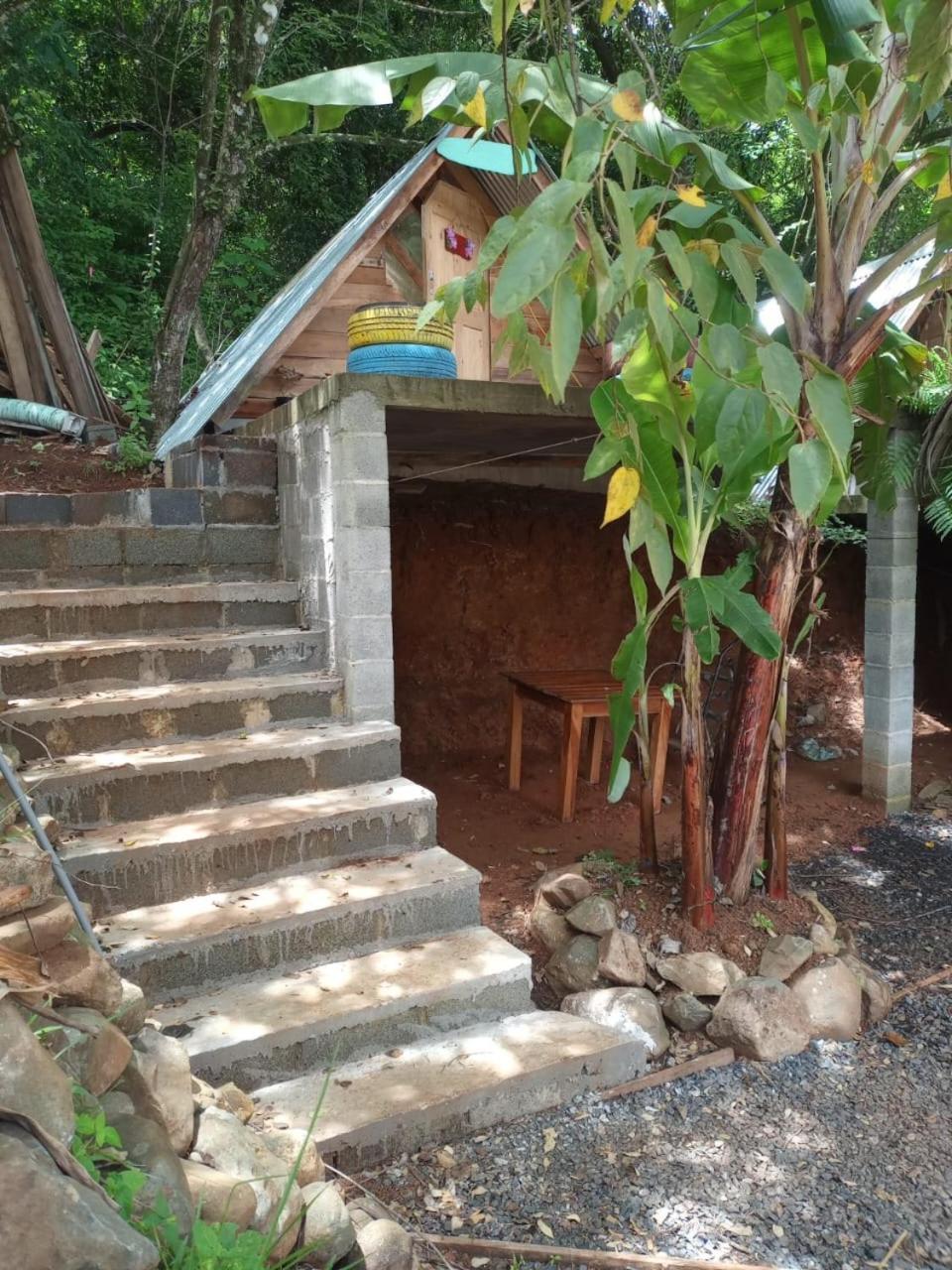 Urbanos Jungle Hostel Santa Catalina Εξωτερικό φωτογραφία